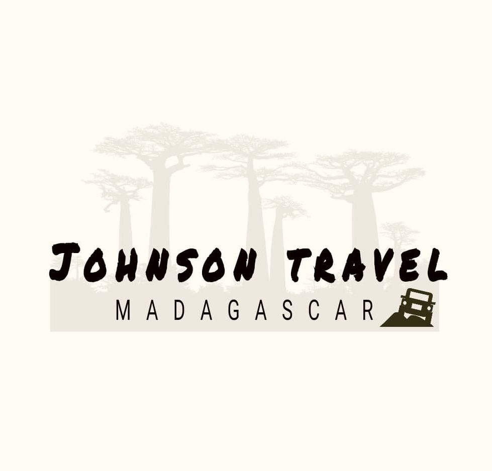 johnson travel